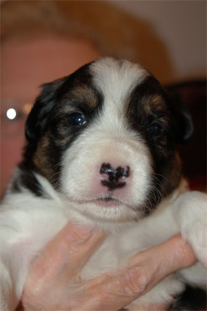 week 3 charles