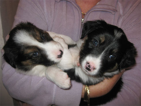 Charles  (Eli) and Edna