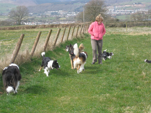 big field walk