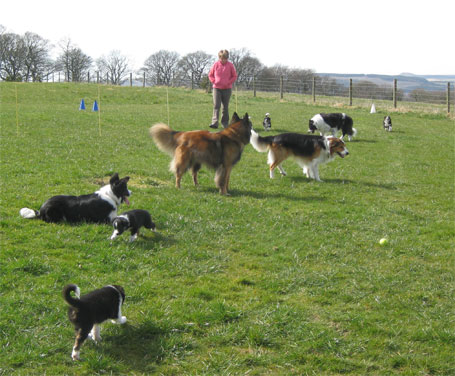 big field walk2