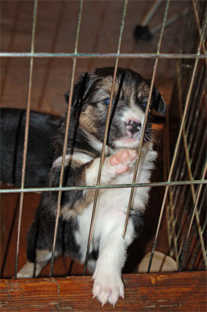 let me out!2