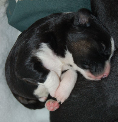 snooze