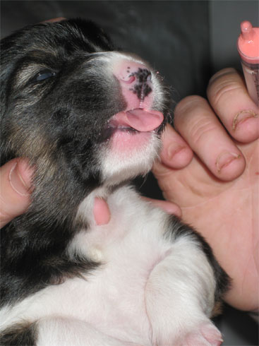 worming2